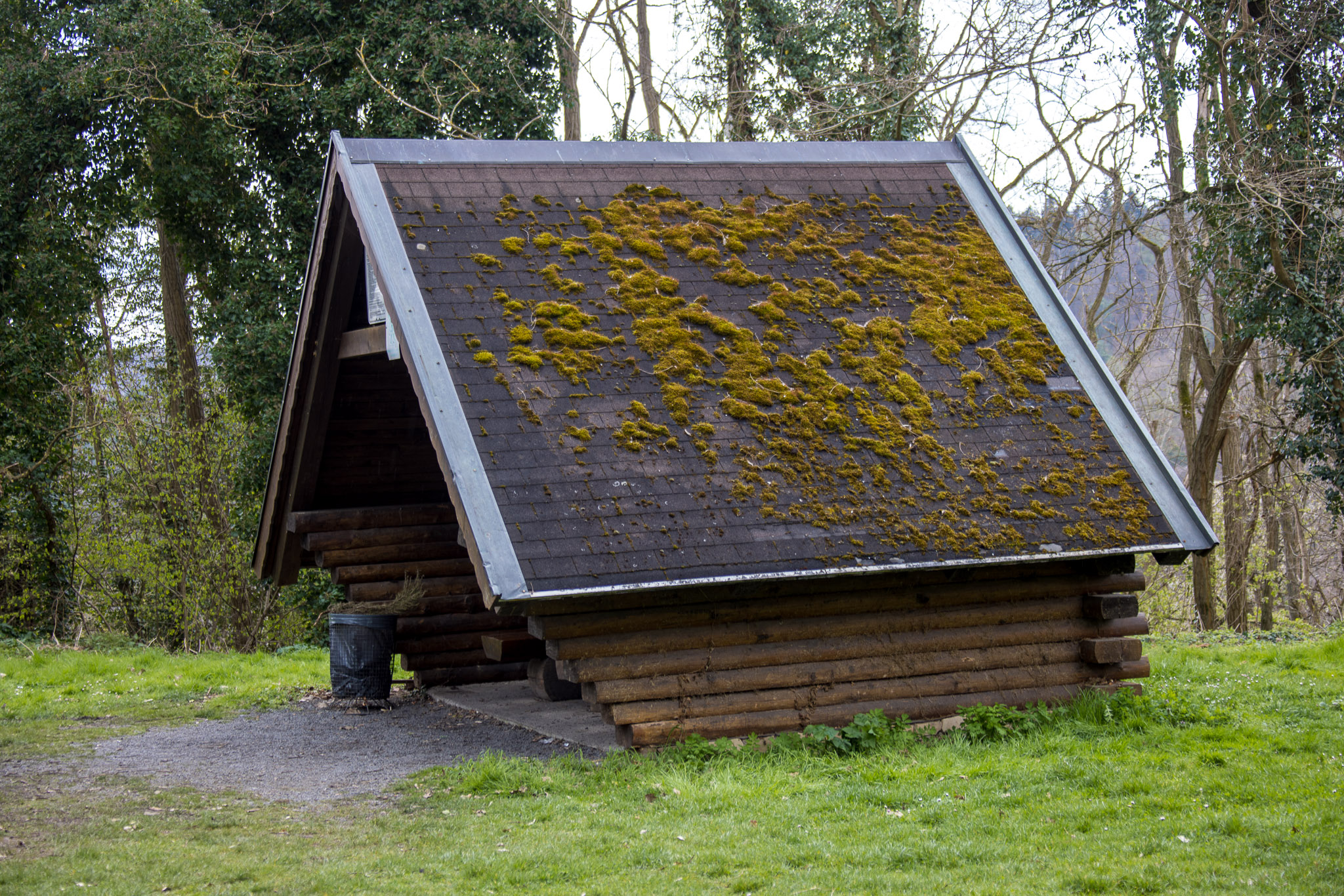 20220410111401 R5D 1933